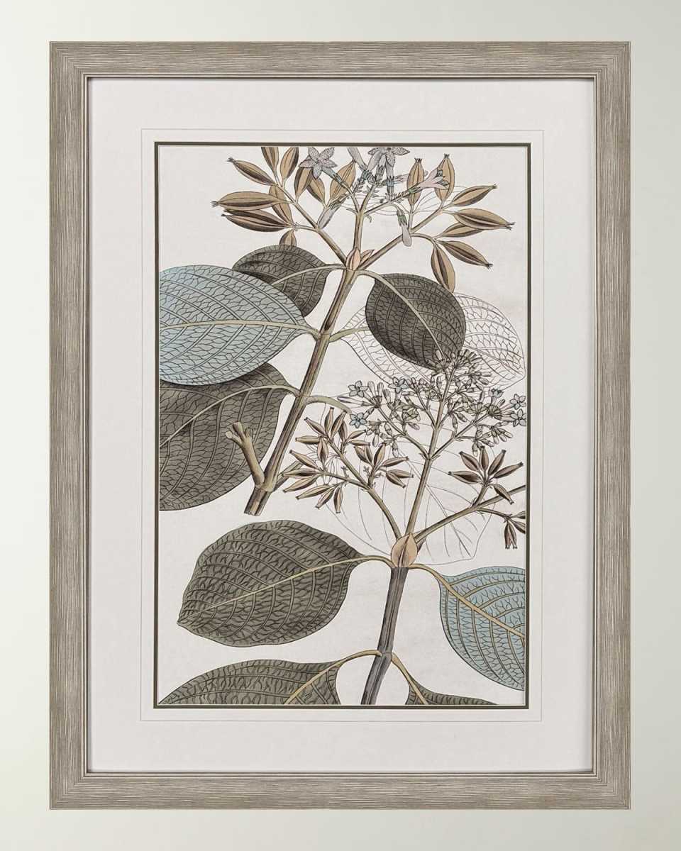 "Flowering Botanical I" Framed Giclee on Paper